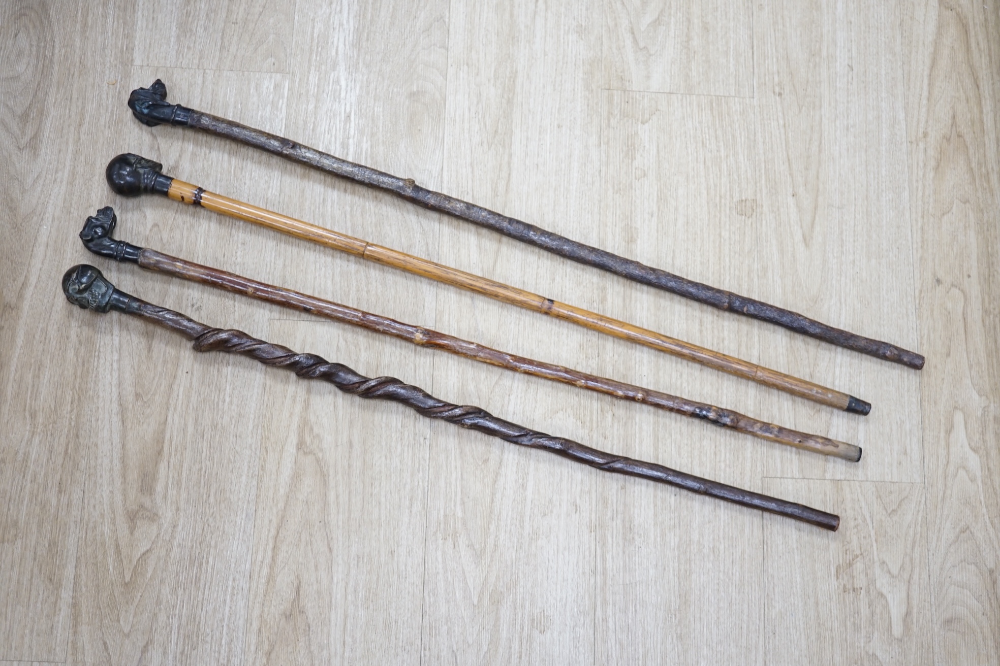 Four bronze topped walking canes, two with skulls, and two with dogs, canvas longest 93cm. Condition - fair to good.